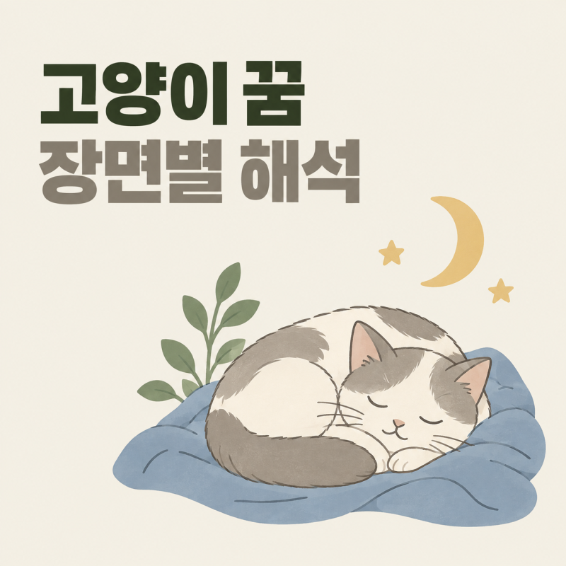 고양이 꿈 해몽, 다가오는 고양이와 흰 고양이 꿈 읽는 법