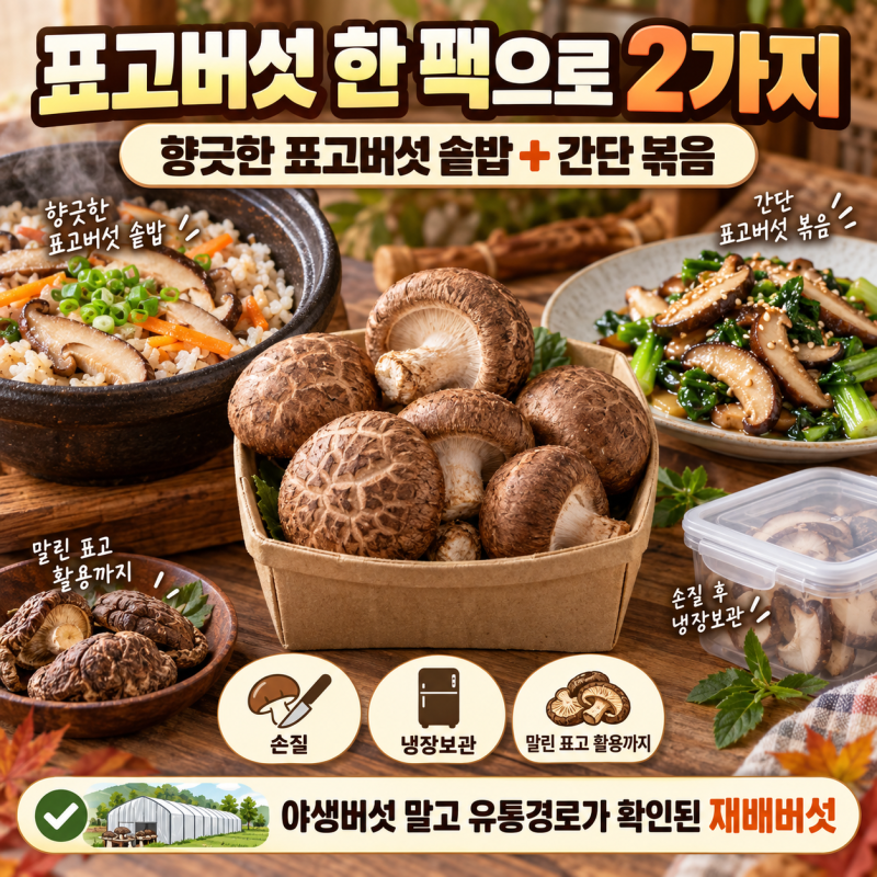 표고버섯 솥밥·볶음｜손질·냉장보관·말린 표고 활용법