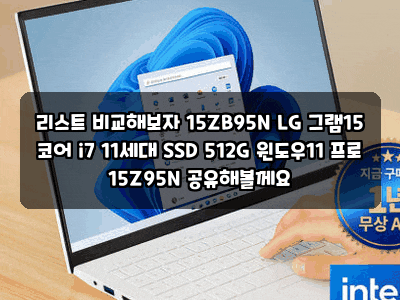 리스트 비교해보자 15ZB95N LG 그램15 코어 i7 11세대 SSD 512G 윈도우11 프로 15Z95N 공유해볼께요