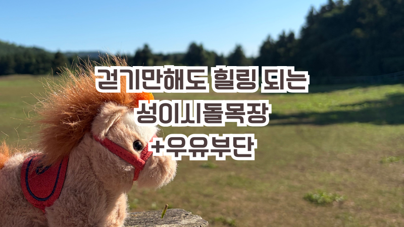 [제주여행 #7] 제주 성이시돌목장 (말 구경+우유부단 아이스크림) 푸른 목장에서 힐링하고 온 ....