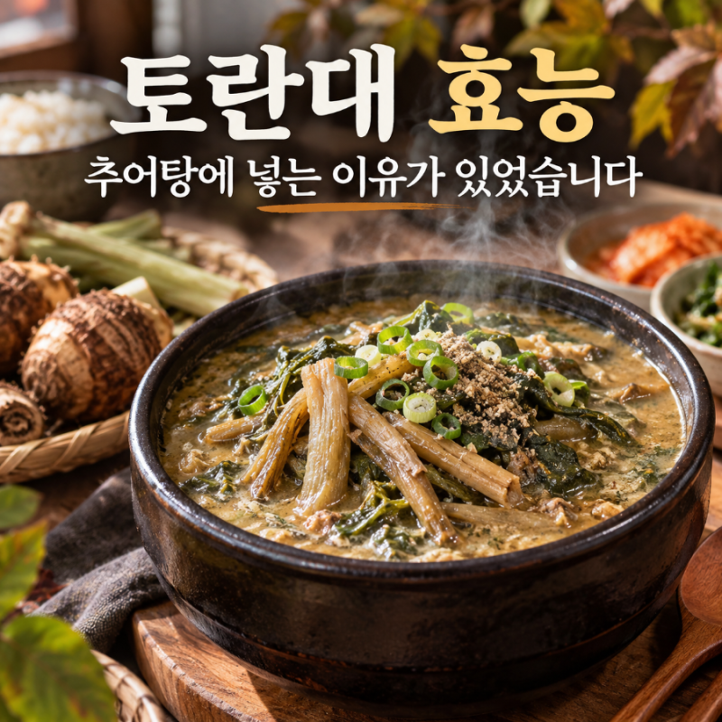 토란대 효능, 어릴 적 추어탕에 듬뿍 넣어주던 이유가 있었습니다