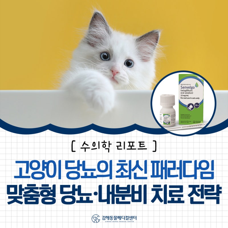 고양이 당뇨의 최신 패러다임: 2026 AAHA 가이드라인으로 본 맞춤형 당뇨·내분비 치료 전략