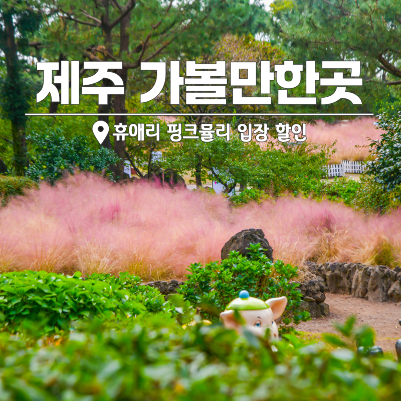제주도 가볼만한곳 휴애리 핑크뮬리 "탐나오 할인 팁"