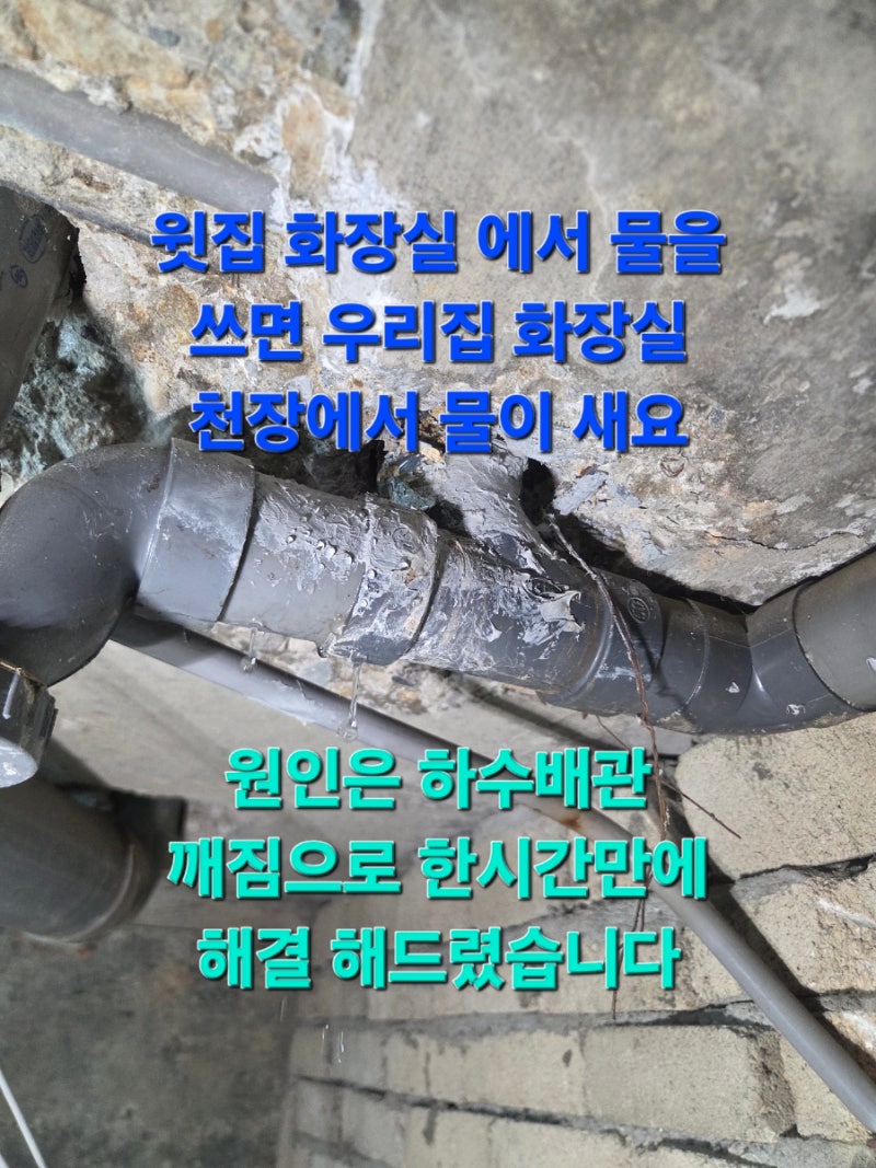 서울 강서구 누수 방화동 1층 화장실 천장 물샘 하수배관 신설로 해결