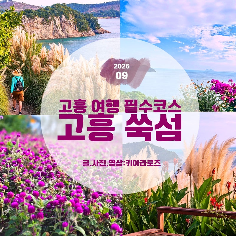 [고흥 가볼만한곳] 고흥 쑥섬 9월 달정원 팜파스그라스 풍경 & 추천 코스