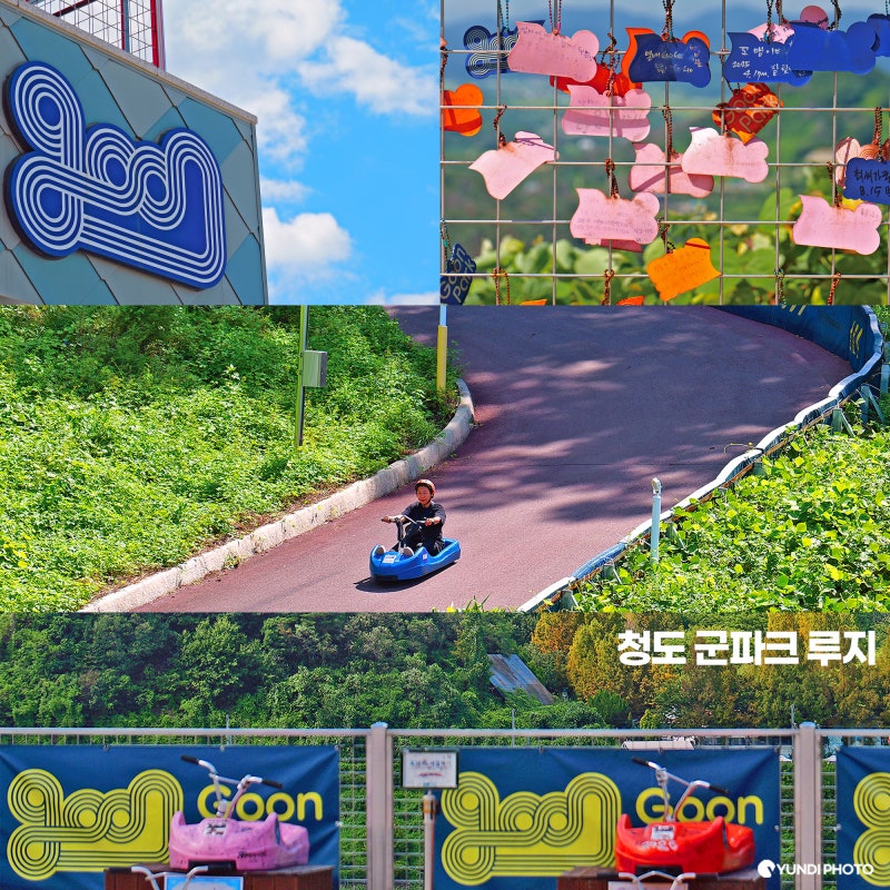 청도가볼만한곳 군파크 루지 시간 가격 예약 할인, 대구 근교 아이랑 다녀온 후기