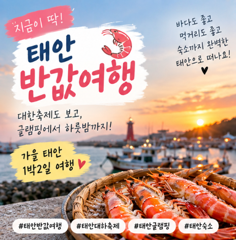태안 반값여행 간다면! 대하축제와 추천 숙소까지 총정리