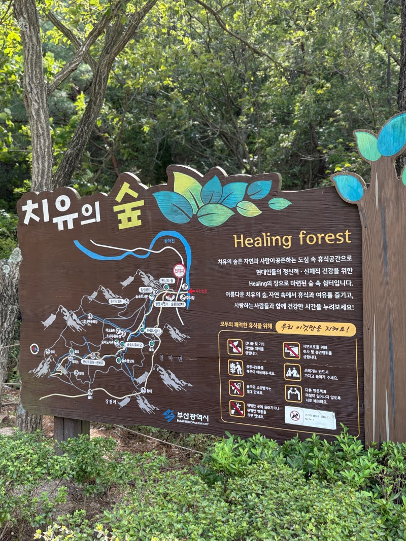 부산 기장 가볼만한 곳 | 부산 근교 아이와 함께 산책하기 좋은 부산 치유의 숲