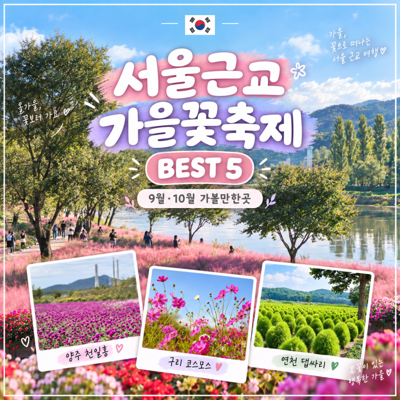 2026 서울근교 가을꽃축제 BEST 5 - 양주 천일홍 자라섬 연천 댑싸리 구리 코스모스