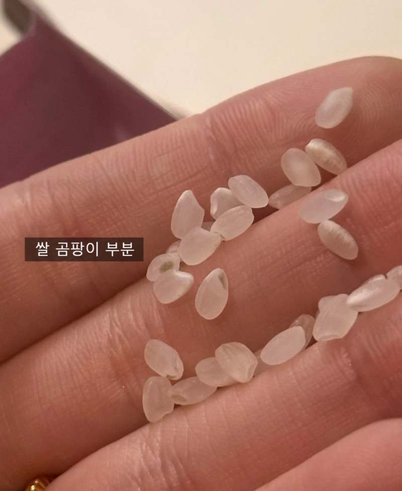 쌀 곰팡이, 씻어서 먹어도 될까? 아깝다고 버리기 전 꼭 알아야 할 3가지