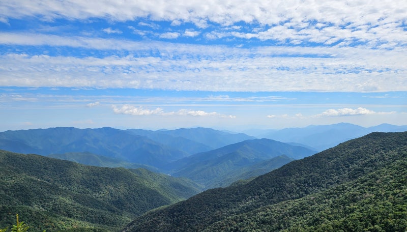 지리산 성백종주 2박3일 1일차, 성삼재 ~ 연하천대피소, 13.5km / 952m↑