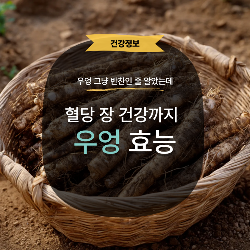 우엉효능 알고 먹으면 달라요 혈당 장 건강부터 섭취 주의점까지