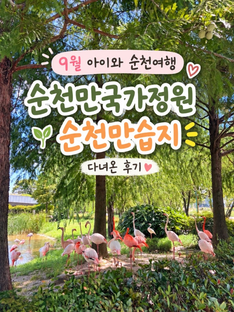 9월 아이와 순천 여행 | 순천만국가정원 | 순천만습지 | 식당 | 스카이큐브 가격 | 입장료 & 주....