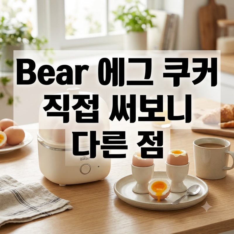Bear 올스텐 미니 계란찜기 최저가 확인 및 솔직한 실사용 후기