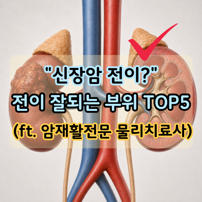 "1위는 어디?" 신장암 전이 잘되는 부위 TOP5 (ft. 암재활전문 물리치료사)