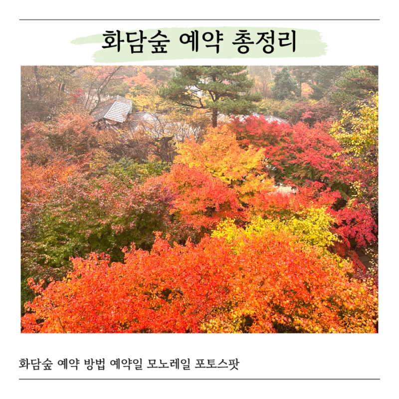 2026 화담숲 예약 방법 오픈일 단풍시기 모노레일 포토스팟 추가상품 모노레일 링크까지 총정....