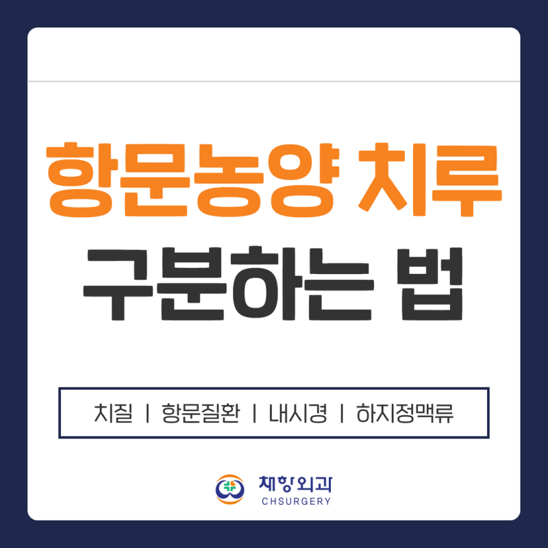 항문 붓고 진물 나올때, 당진항문외과 전문의의 항문농양 치루 구분법