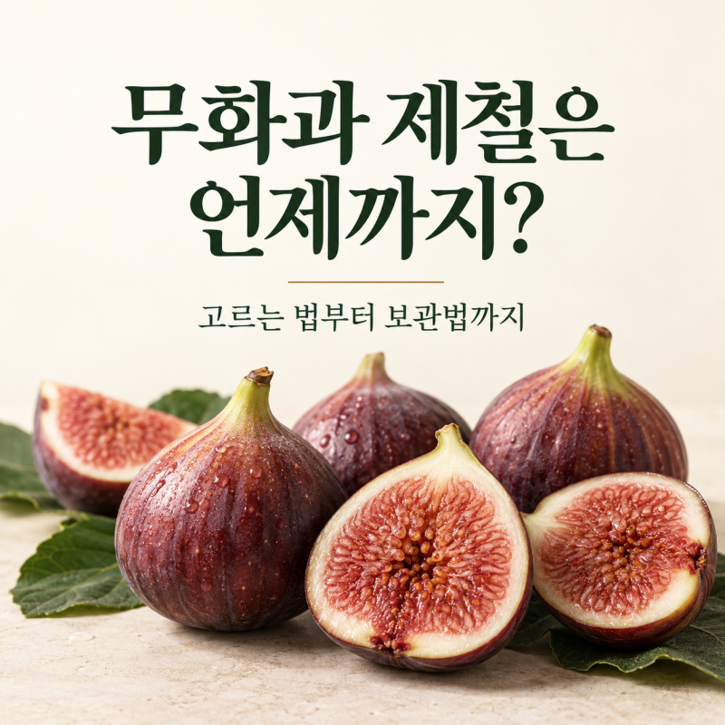 무화과 제철은 언제까지? 맛있는 무화과 고르는 법과 보관 방법