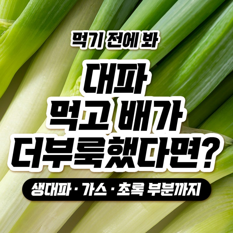대파 먹기 전에 봐｜많이 먹으면 왜 속이 불편할까? 생대파·가스·초록 부분까지