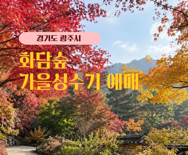 2026 화담숲 가을 성수기 예매 오픈! 단풍시즌 모노레일 예약 방법