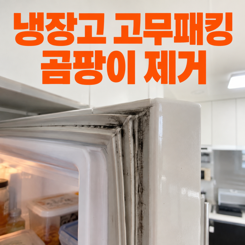 냉장고 고무패킹 곰팡이 제거, 주름 속까지 베이킹소다로 닦는 방법