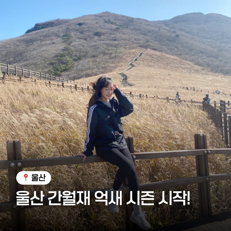 울산 간월재 억새 시즌 시작! 9월 10월 가볼만한 곳, 주차장·초보자코스·준비물 총정리