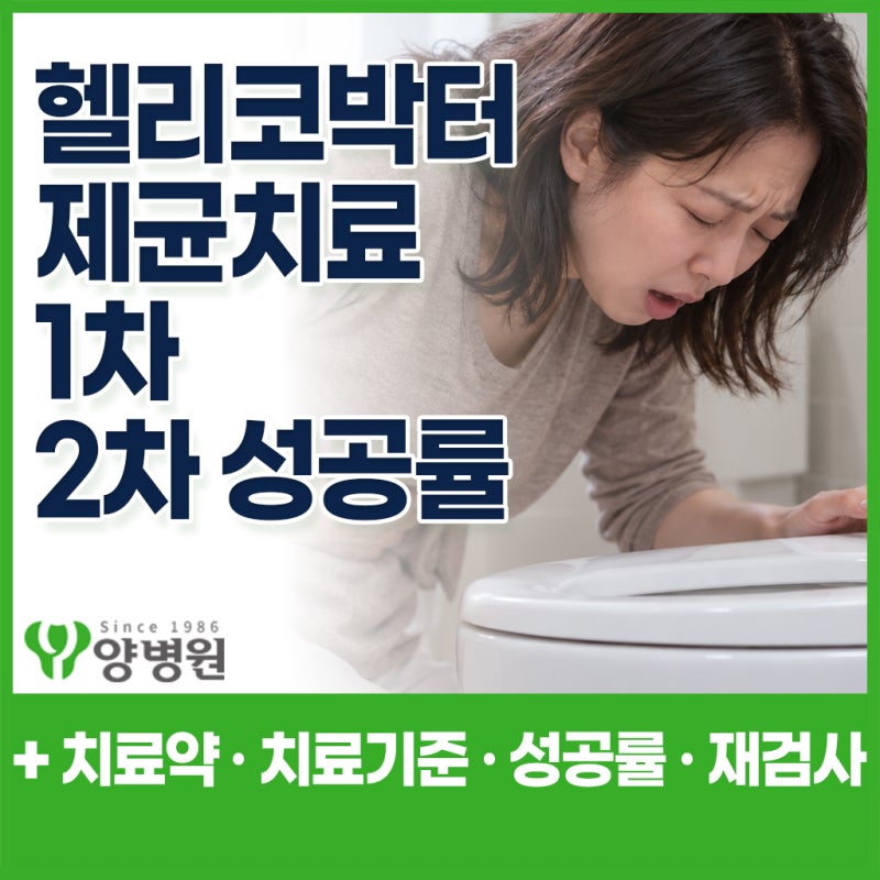 위내시경에서 헬리코박터균이 나왔다면? 꼭 제균치료 해야 할까, 1차·2차 치료약 · 성공률 ·....