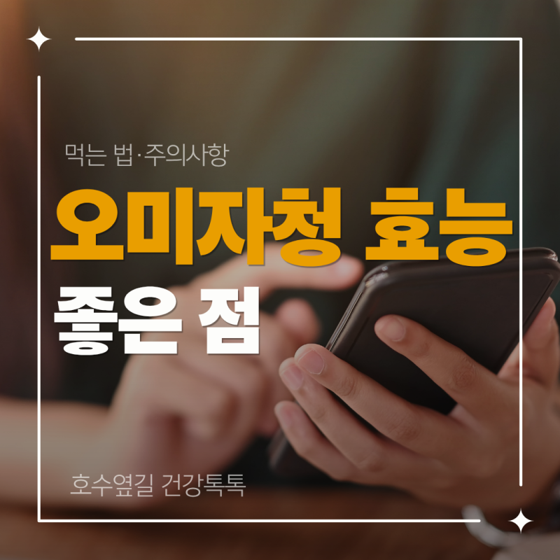오미자청 효능은? 오미자의 좋은 점과 먹는 법·주의사항