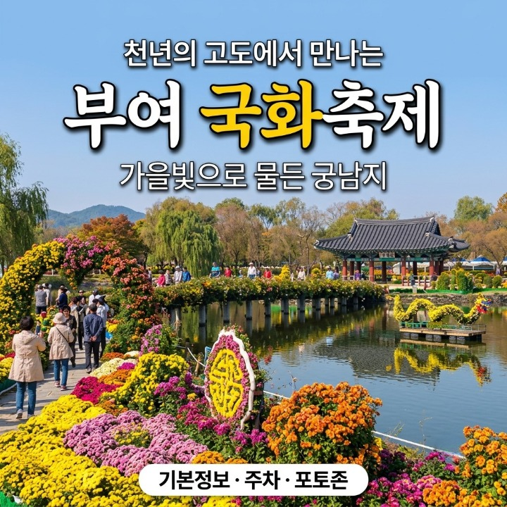 부여 궁남지 국화축제 완벽 가이드: 가을빛에 잠긴 고도의 연못