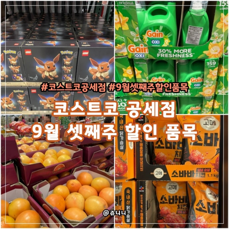 코스트코 공세점 9월 셋째주 할인 품목 총정리(9월 14일 ~)