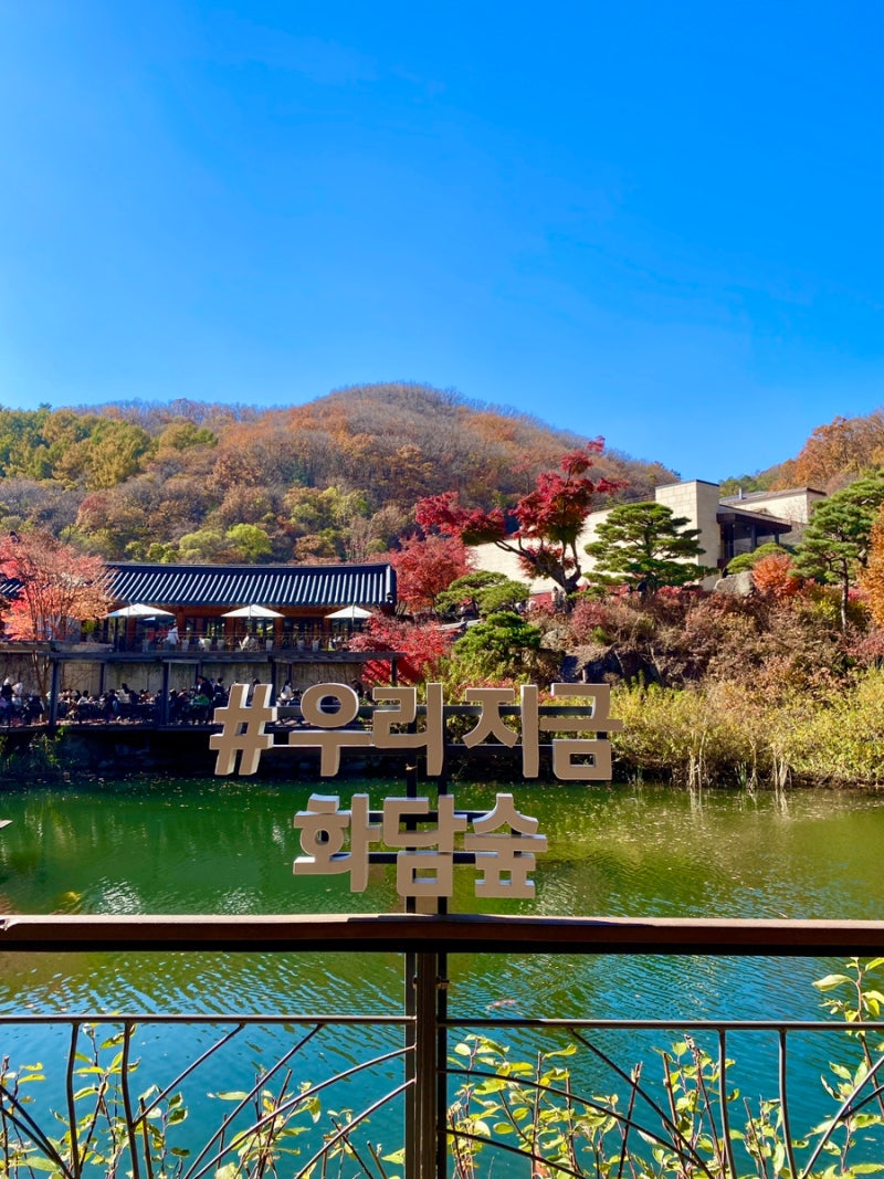 화담숲 단풍시기 11월 초 방문후기ㅣ단풍절정시기와 모노레일 예약꿀팁