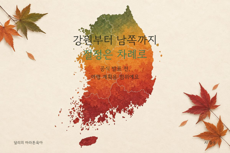 2026 단풍시기, 아이와 가기 좋은 절정은 언제일까?