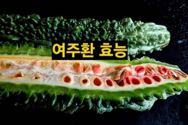 여주환 효능 정리 환, 차, 가루, 즙 복용효과 비교