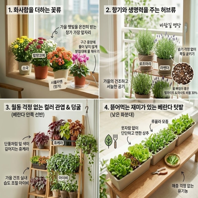 가을 홈가드닝 시작, 9월에 심기 좋은 베란다 식물 추천 10