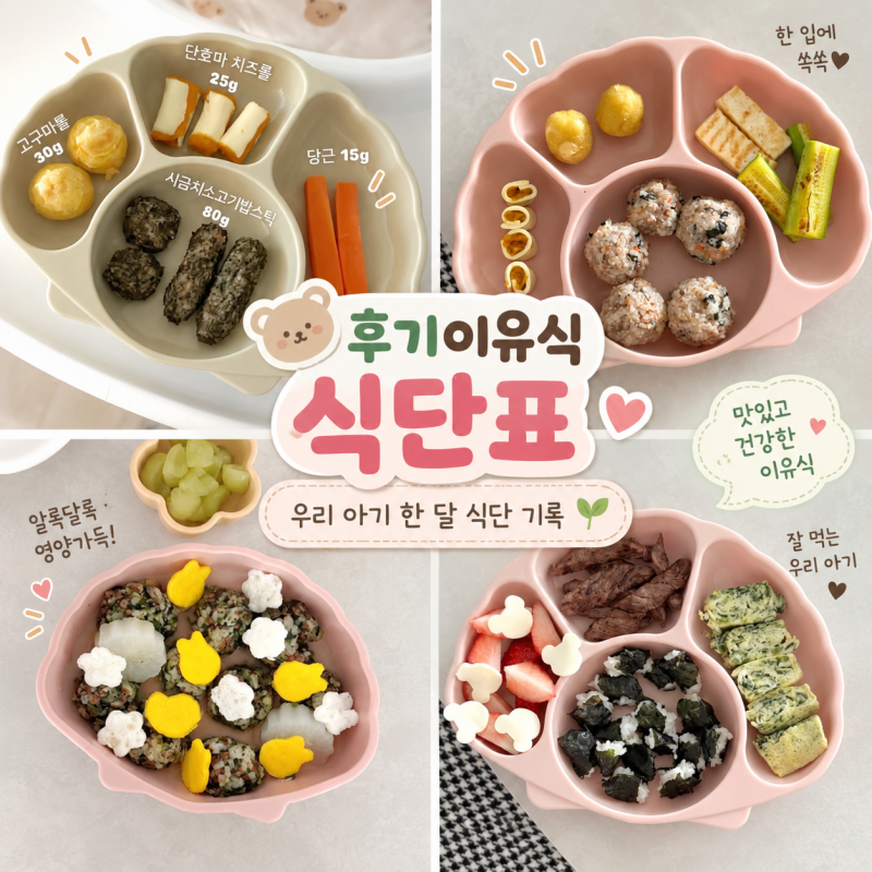 후기이유식 식단표 고민 끝! 양부터 하루 스케줄까지 정리