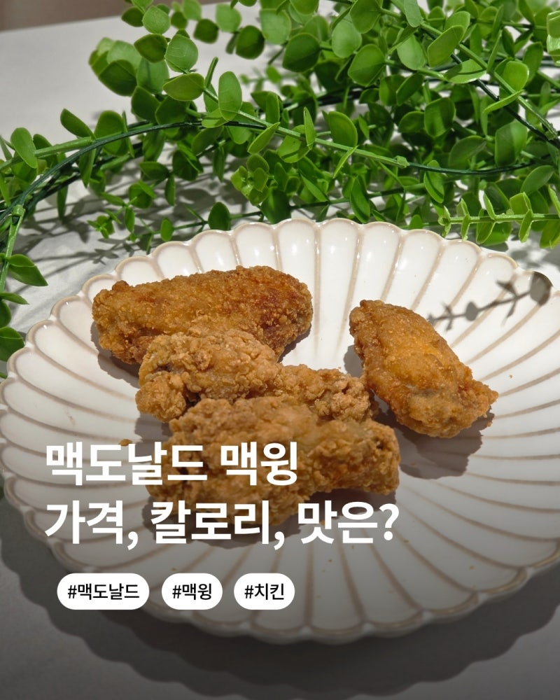 맥도날드 사이드메뉴 추천 맥윙 가격 칼로리 맛은?