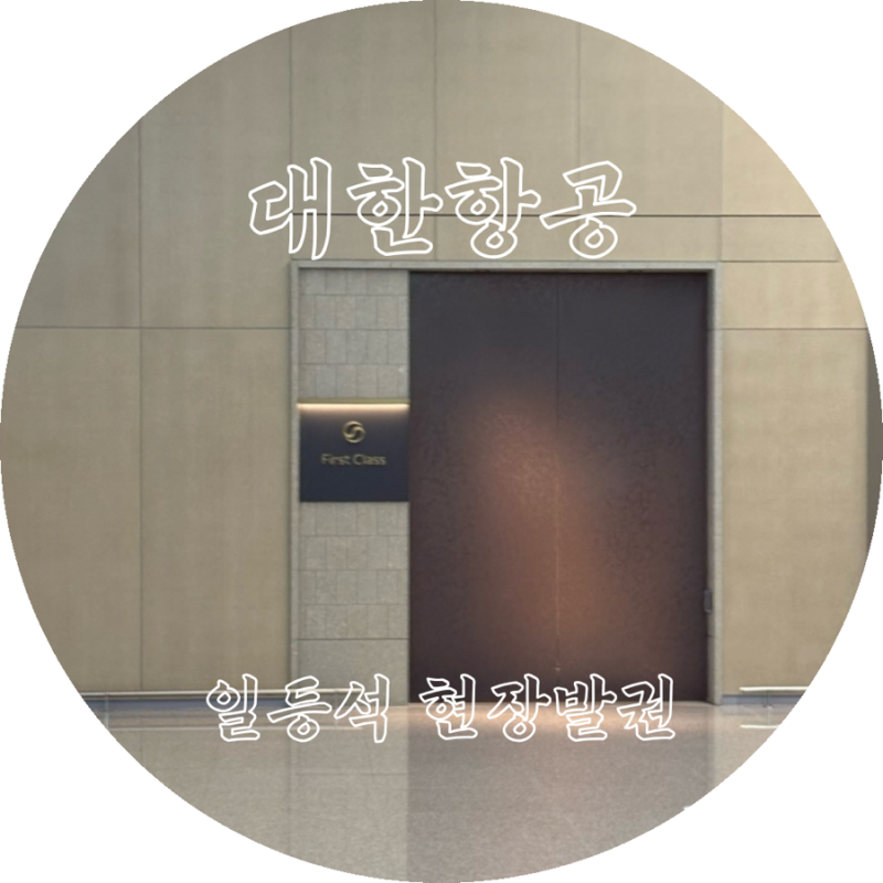 대한항공 인천-뉴욕 비즈니스 당일 일등석 변경후기|보너스 마일리지 항공권