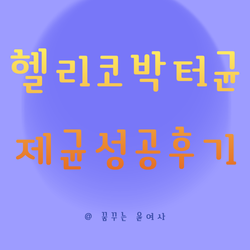 헬리코박터균 제균치료 실제 성공 후기 이 방법으로 제균했다