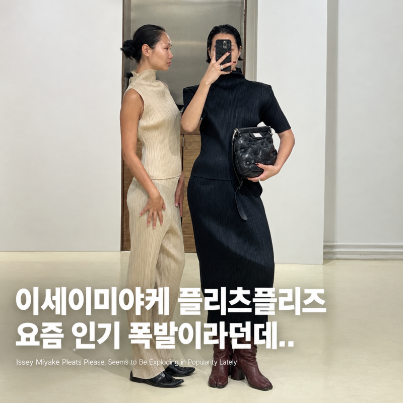 이세이미야케 플리츠플리즈 요즘 인기 폭발이라던데.. (패션 코디)