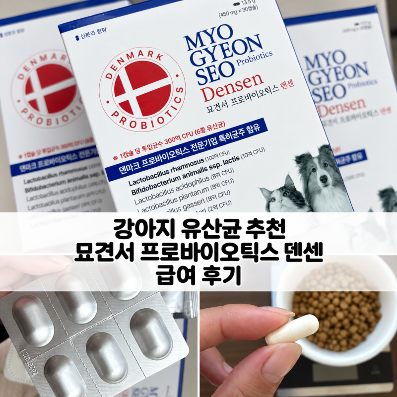 강아지 유산균 추천｜묘견서 프로바이오틱스 덴센 세 번째 재구매 급여 후기