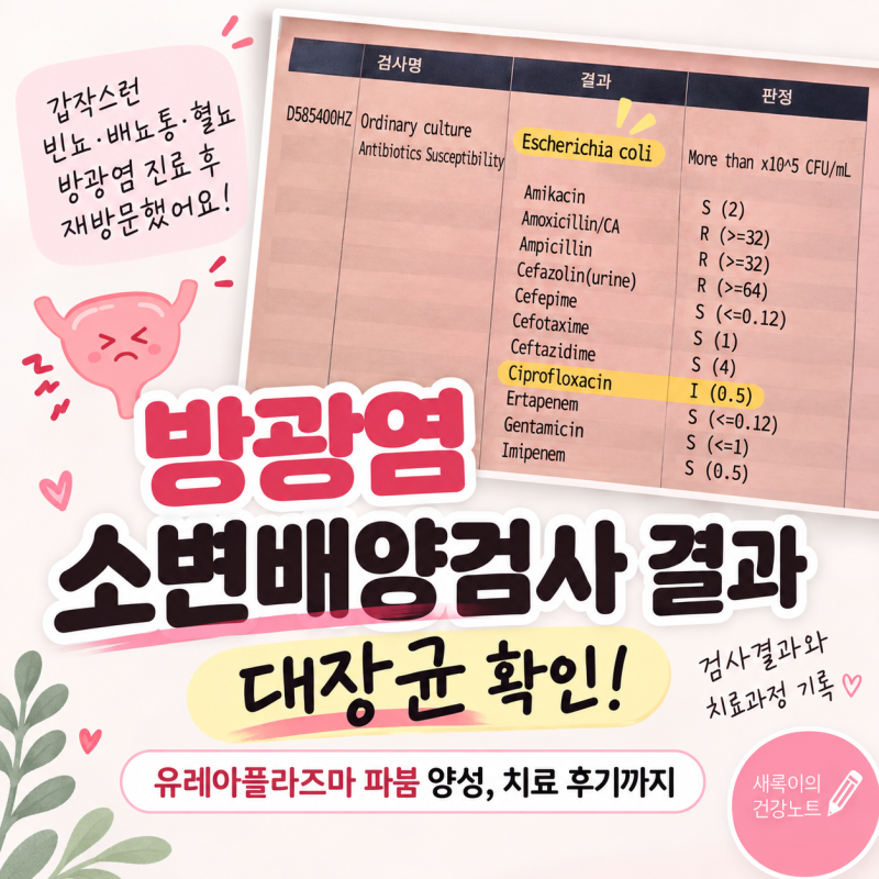 방광염 소변배양검사 결과｜대장균 확인, 유레아플라즈마 파붐 치료 후기