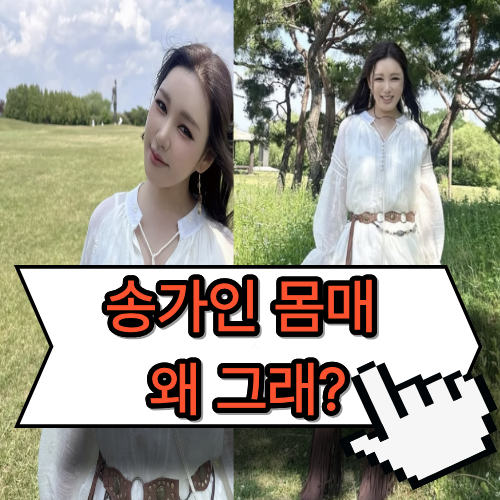 송가인 충격 몸매 이유가 더 충격..