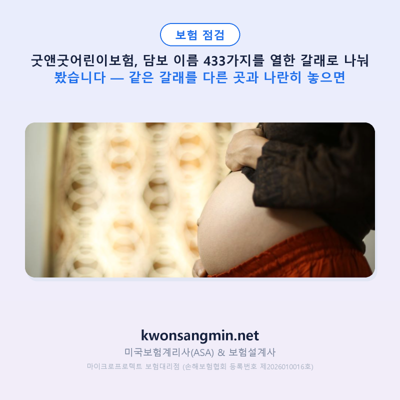 굿앤굿어린이보험, 담보 이름 433가지를 열한 갈래로 나눠 봤습니다 — 같은 갈래를 다른 곳....