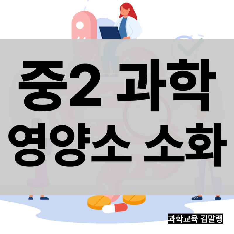중학교 2학년 과학 교과서 완벽하게 분석하기 ⑨ 입·위·작은창자에서의 소화(아밀레이스, ....