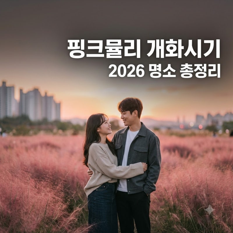 핑크뮬리 개화시기 무작정 갔다가 헛걸음 2026 전국 명소 반전 운영 현황