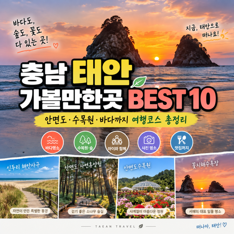 충남 태안 가볼만한곳 BEST 10, 아이와 가기 좋은 안면도·수목원 여행코스 총정리