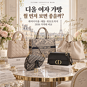 디올 여자 가방 추천, 레이디디올·새들·북토트 가격대 비교해보니?