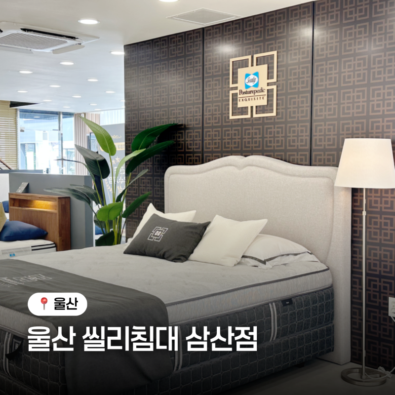울산 침대 매장 찾는다면, 울산씰리침대 삼산점 방문 후기