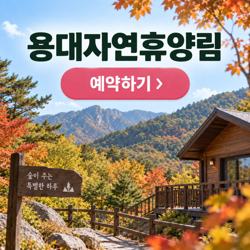 용대자연휴양림 예약 방법｜10월 숲나들e 취소표·잔여객실 확인