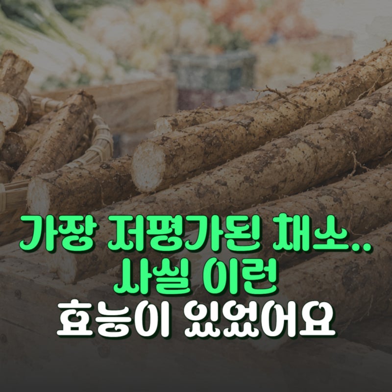 우엉 효능 5가지와 부작용 혈당 낮추고 붓기 빼는 올바른 먹는법
